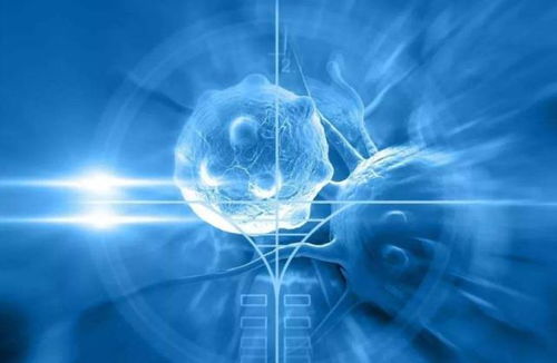 当抗衰老科技遇上网络服务 老年人打干细胞与在线健康管理新趋势